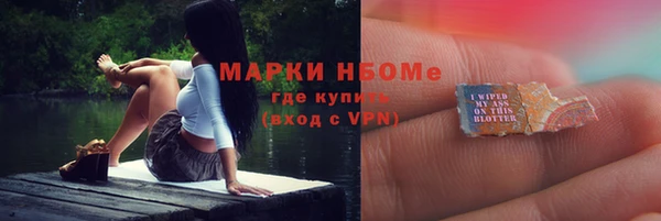 хмурый Алзамай