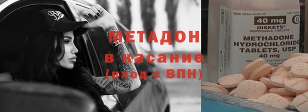 прущие грибы Алексеевка