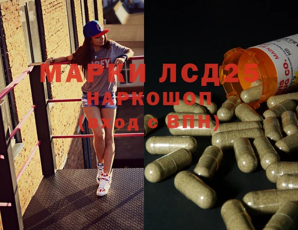 СК Алексин