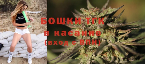 прущие грибы Алексеевка