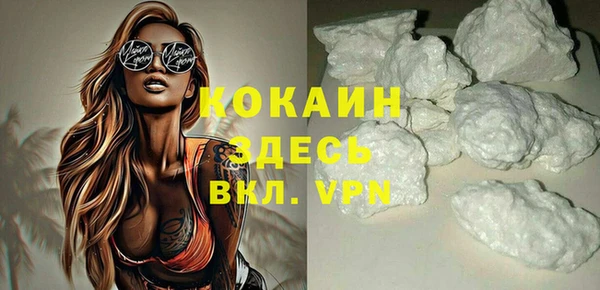 мдпв Няндома