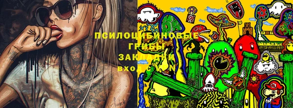 хмурый Алзамай