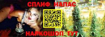 бошки Донской
