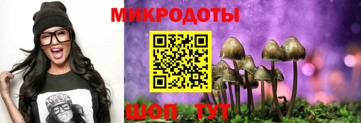 Галлюциногенные грибы Psilocybe  Вход с VPN  Михайловск 